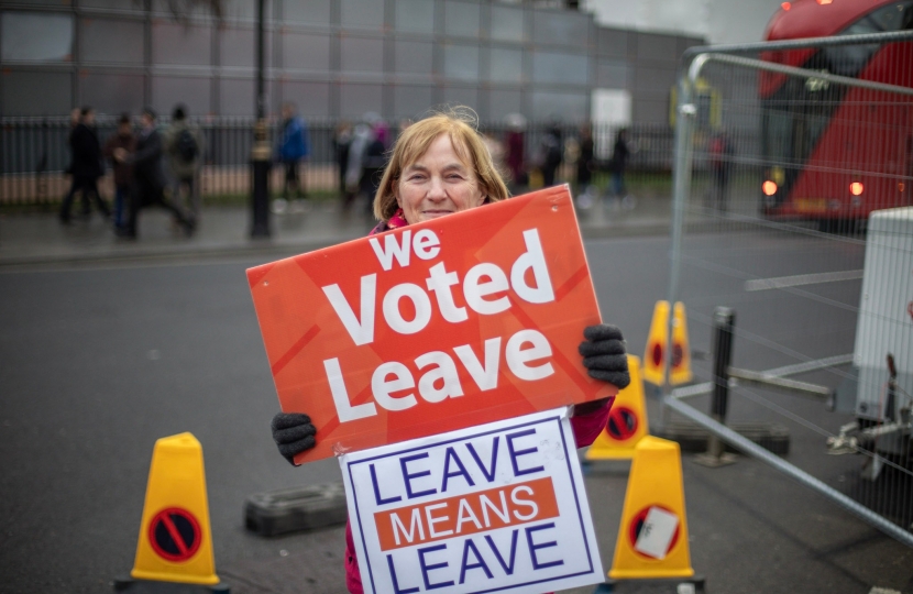 Vote Leave Protester