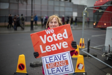 Vote Leave Protester